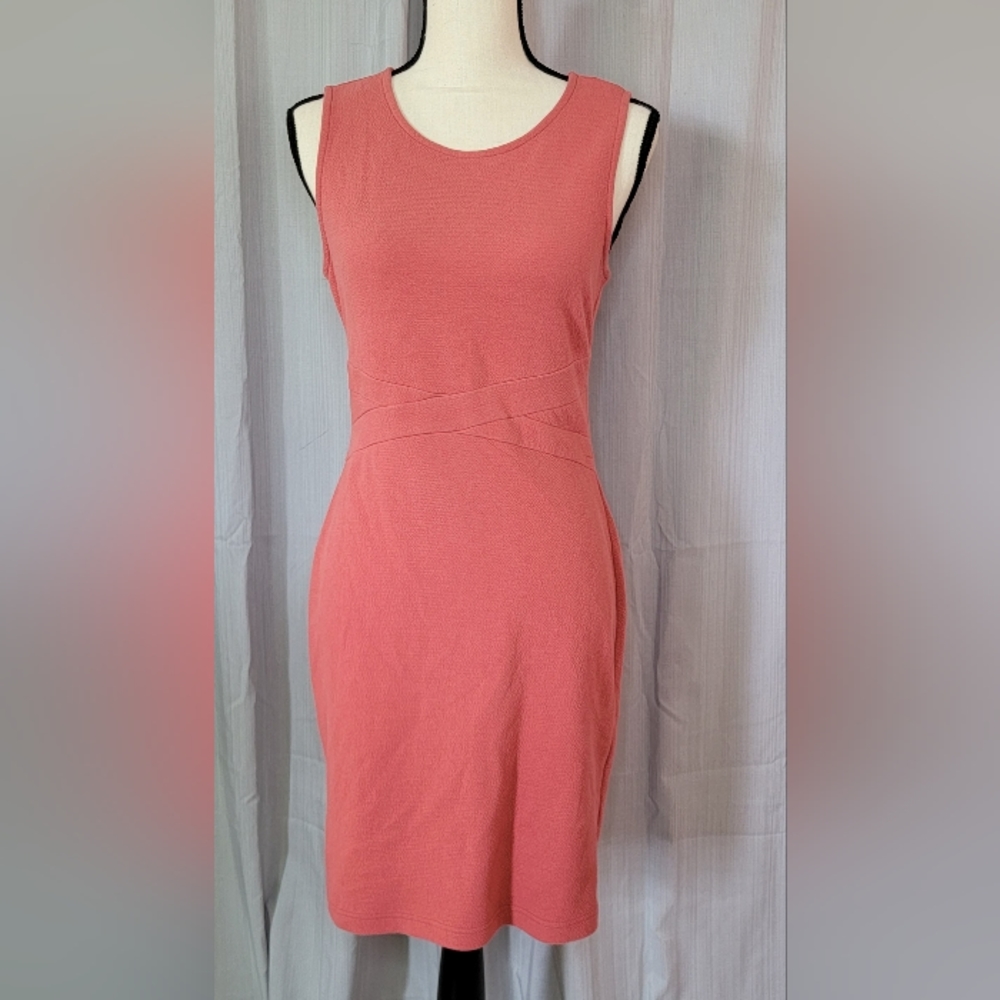 Anthropologie Saturday Sunday pink sheath dress Size small